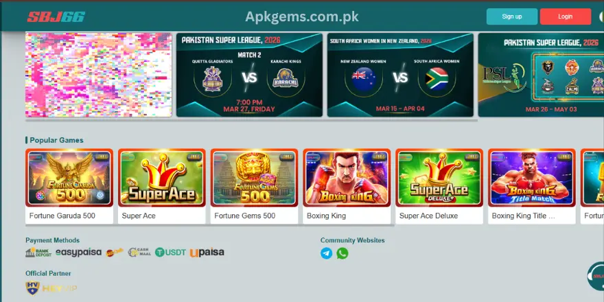 SBJ66 Game